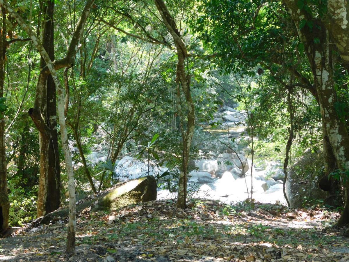 Hotel Sierra Jungla à Minca Extérieur photo
